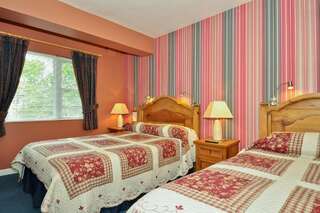 Отели типа «постель и завтрак» Ash Grove House Голуэй Двухместный номер с 1 кроватью-1
