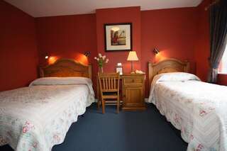 Отели типа «постель и завтрак» Ash Grove House Голуэй Двухместный номер с 2 отдельными кроватями-3